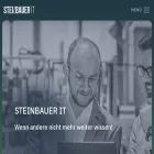 steinbauer-it.com steinbauer-it.com