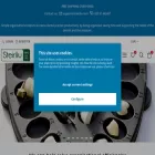 steiriliu.com steiriliu.com
