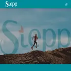 stepp.co.za