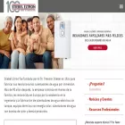 stiebeleltronamericas.com