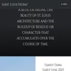 stlouispatina.com stlouispatina.com