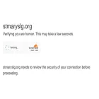 stmaryslg.org stmaryslg.org