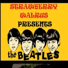 strawberrywalrus.com strawberrywalrus.com