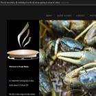 strudelmedia.net