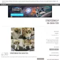 strzyzenie-psa-shih-tzu.bloog.pl