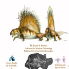 stuartsumida.com