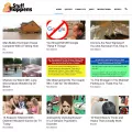 stuffhappens.us stuffhappens.us