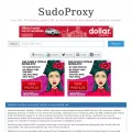 sudoproxy.net