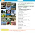 sunphoto.ro