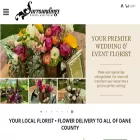 surroundingsef.com