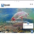 syndel.com syndel.com