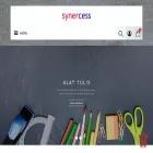 synercess.com