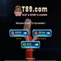 t89.com