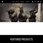tacticalsolutionsgroupllc.com