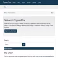tagoverflow.stream