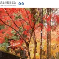 takeo-kk.net