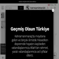 tamsenintarzin.co