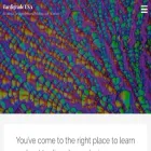 tardigrade.us tardigrade.us