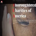 tca.org
