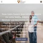 tcfa.org tcfa.org