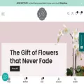 tcfloralcompany.com