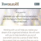 teamdelegate.com teamdelegate.com