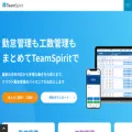 teamspirit.com