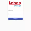 tebasonline.com tebasonline.com