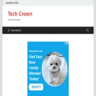 techcrown.xyz