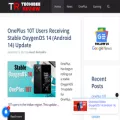 techibeereview.com techibeereview.com