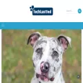 techlustted.com