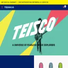 teisco.com teisco.com