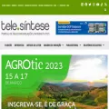 telesintese.com.br