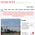 tenarnews.com