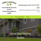 terryslawnandhandyman.com