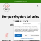 tesi.it