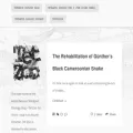 tetzoo.com tetzoo.com