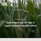 texascorn.org texascorn.org