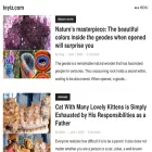 teyiz.com teyiz.com