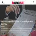 theamberalert.com theamberalert.com