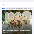 thebaddiehub.co.uk thebaddiehub.co.uk