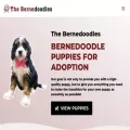 thebernedoodles.com