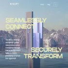 thebinaryholdings.com thebinaryholdings.com