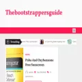 thebootstrappersguide.com thebootstrappersguide.com