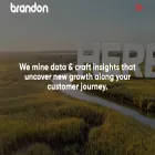 thebrandonagency.com