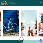 thebrixli.com thebrixli.com