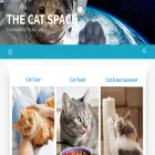 thecatspace.com