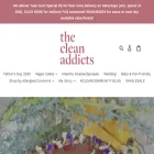 thecleanaddicts.com thecleanaddicts.com