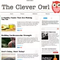 thecleverowl.com