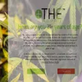 thed8dispensary.com